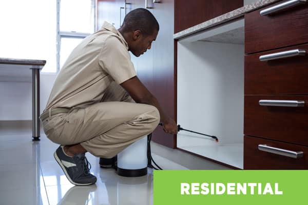 Residential Pest Control Technician Working