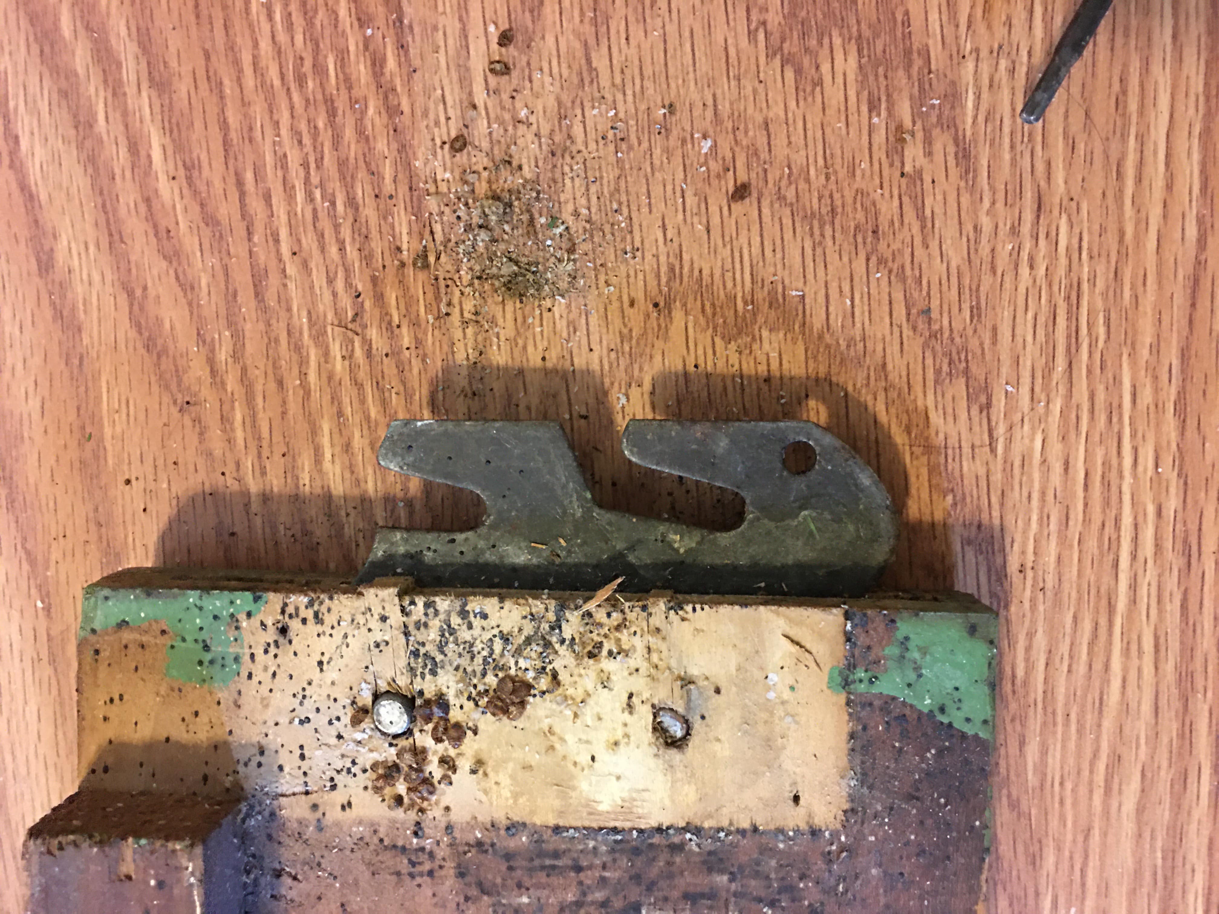 Bed Bugs Between Bed Frame