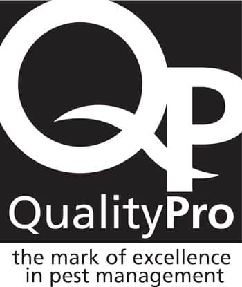 Quality Pro Logo Black