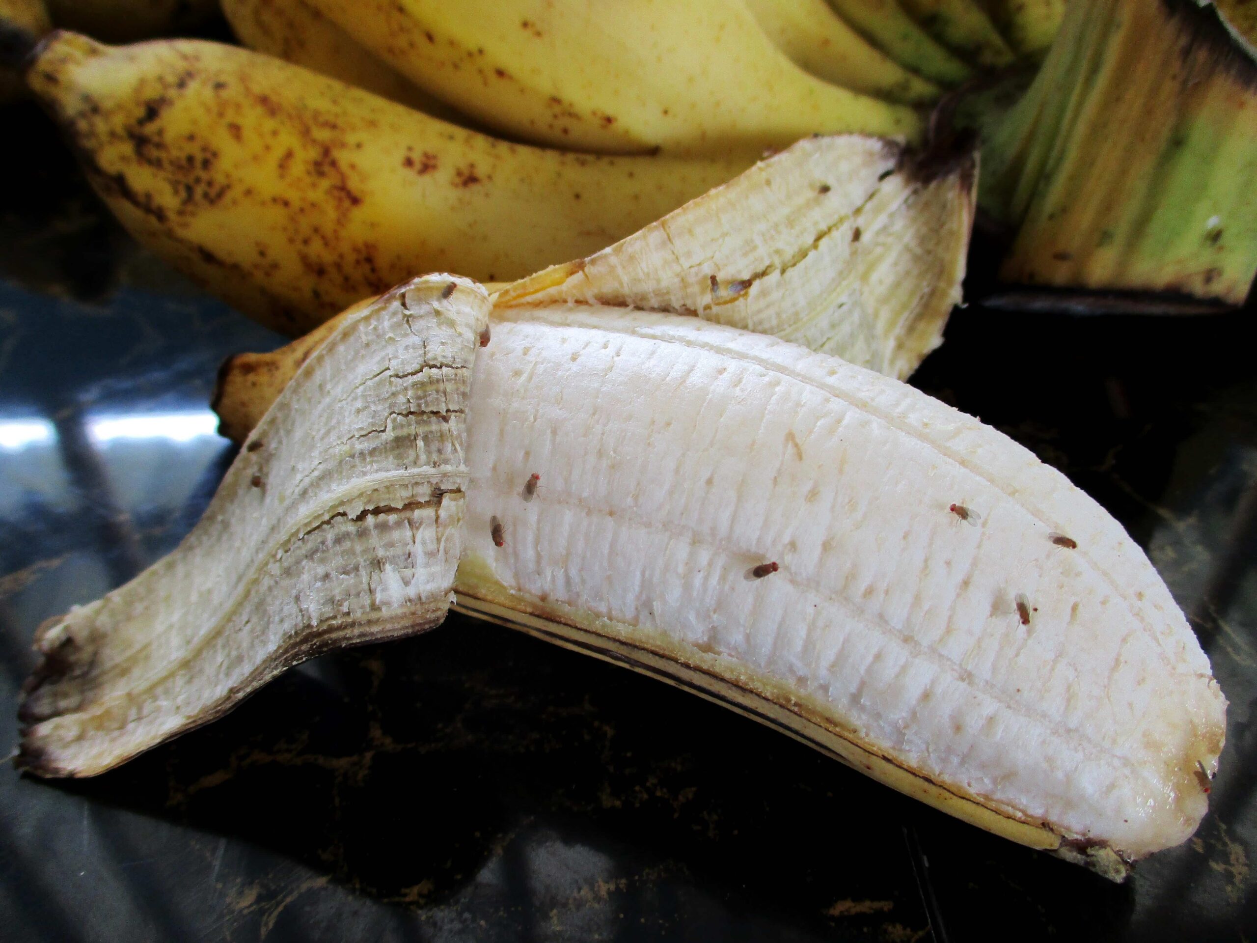 closeup banana