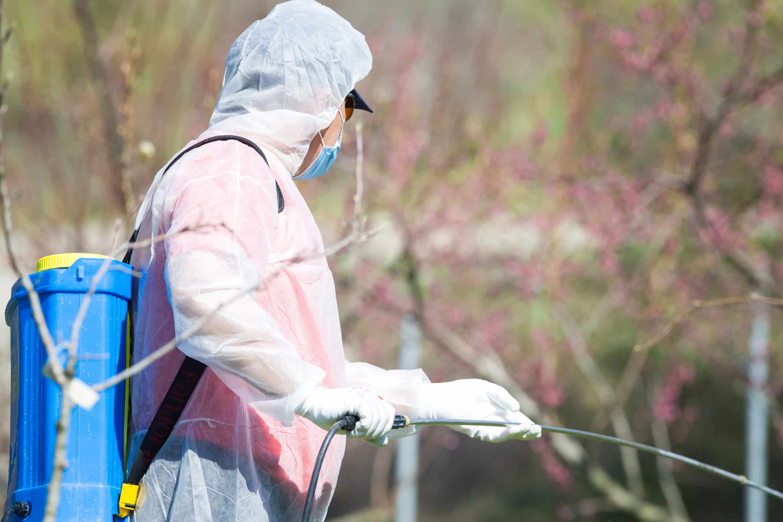 Pest control technician spraying outdoors in protective gear.