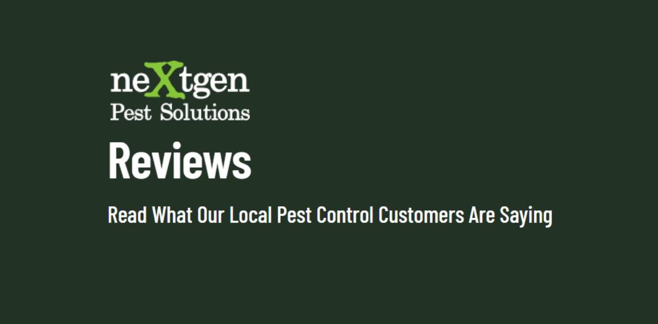 Nextgen Pest Solutions Reviews