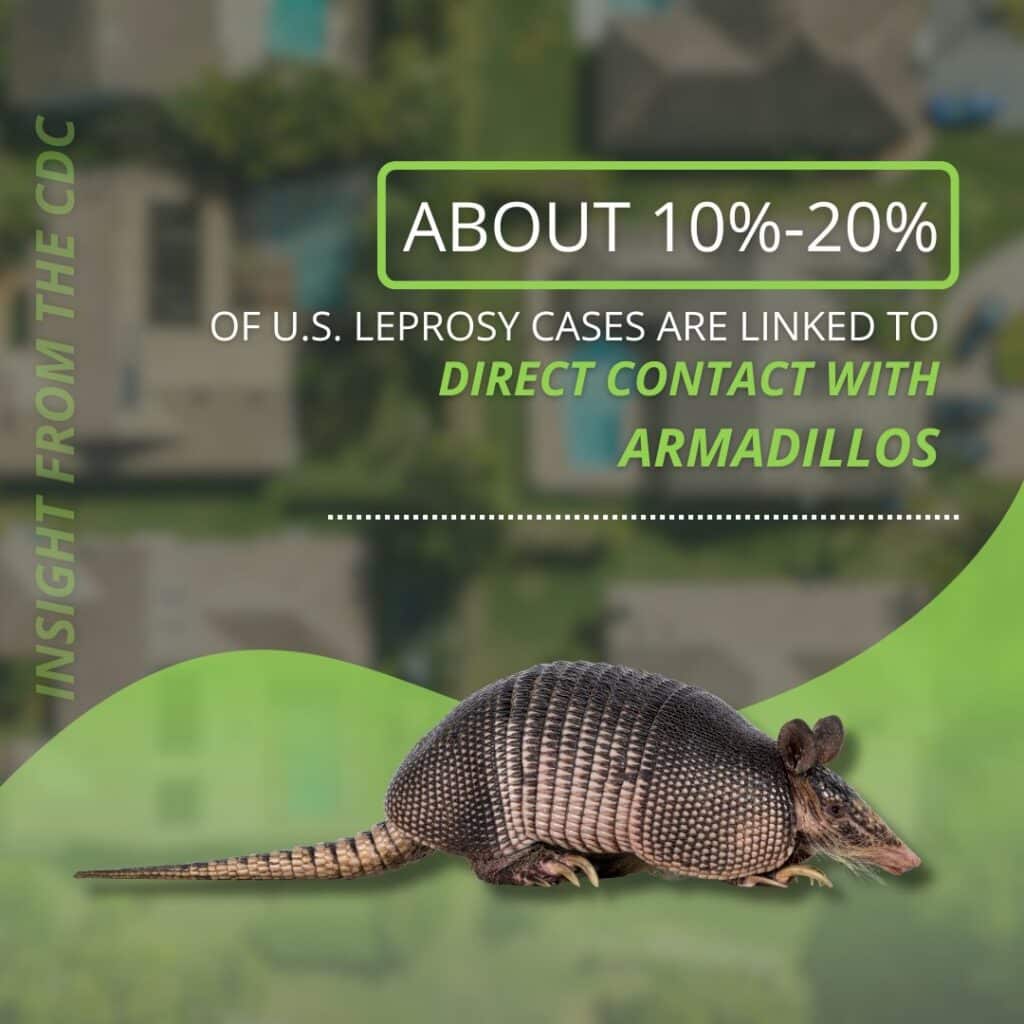 armadillo US and florida stat health and home