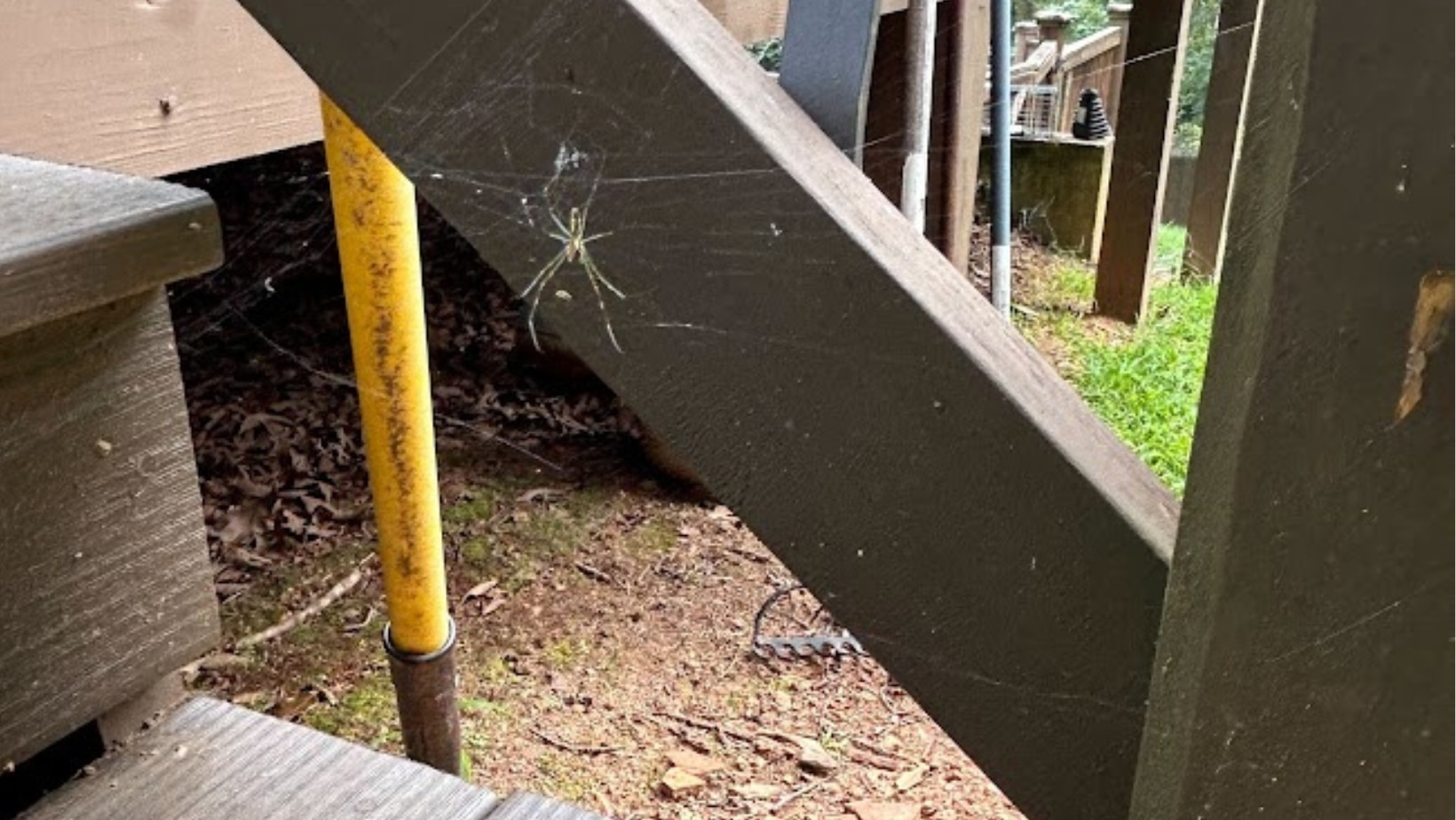 a spider in its web on a deck stair railing near a backyard.