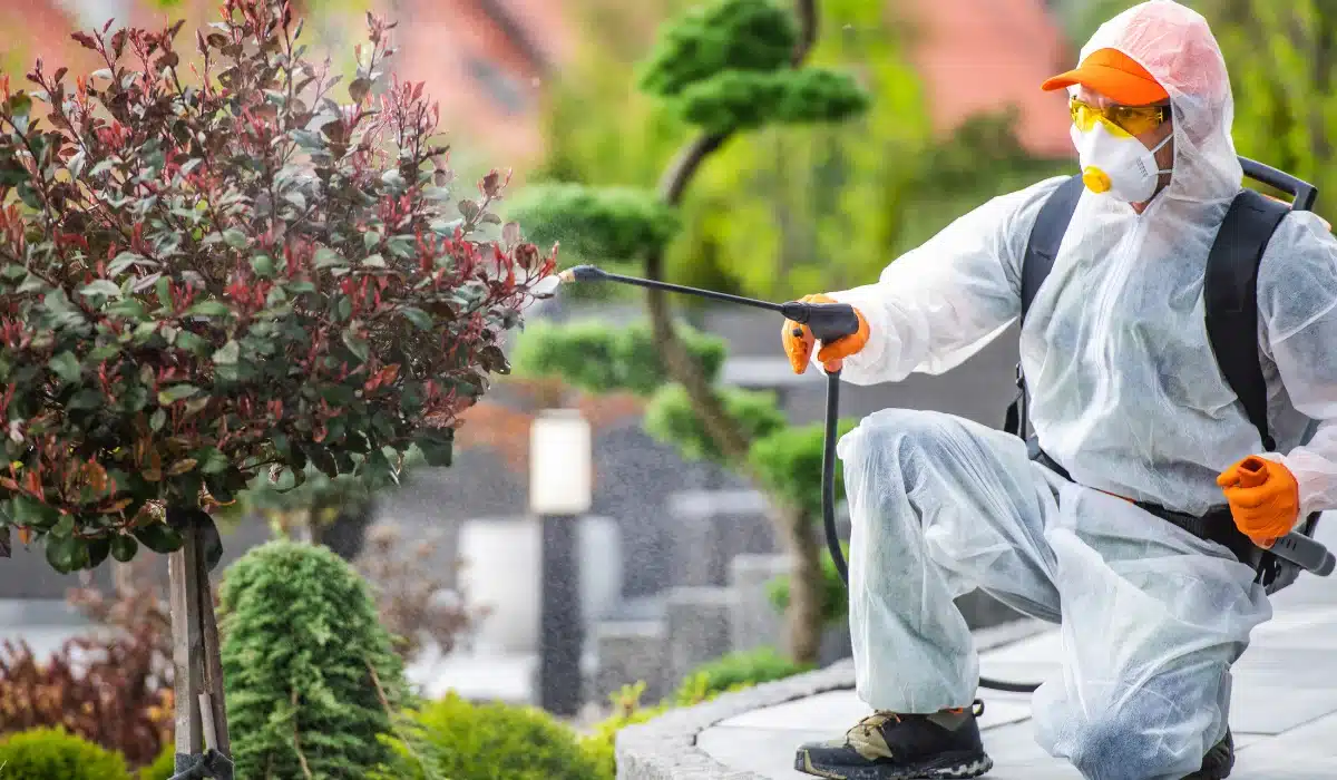Pest control worker in protective suit spraying plants with pesticide